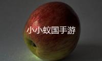 小小蚁国手游