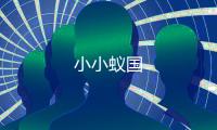 小小蚁国