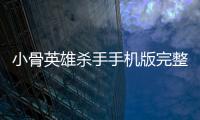 小骨英雄杀手手机版完整版