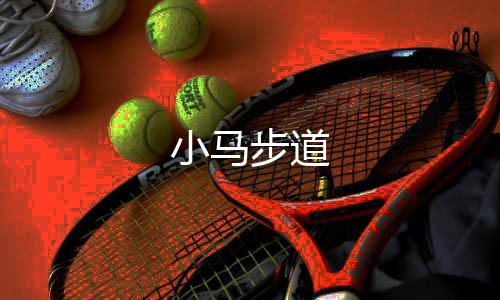 小马步道下载