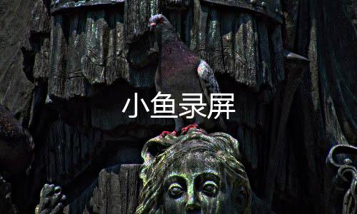 小鱼录屏下载