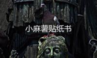 小麻薯贴纸书