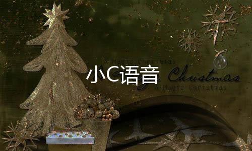 小C语音下载