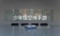 少年悟空传手游