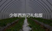 少年西游记礼包版