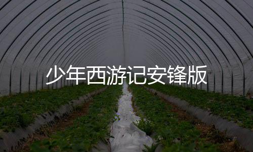 少年西游记安锋版下载