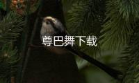 尊巴舞下载