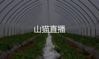 山猫直播