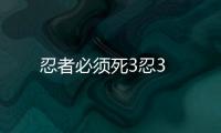 忍者必须死3忍3