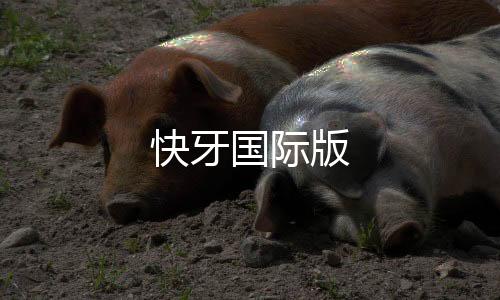 快牙国际版下载