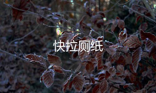 快拉厕纸下载