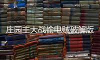 庄园主大战偷电贼破解版