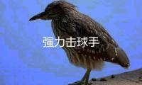 强力击球手