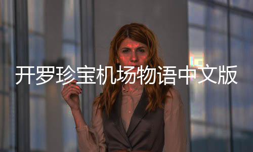 开罗珍宝机场物语中文版下载