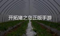 开拓猪之岛正版手游