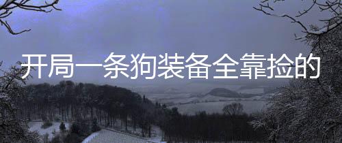 开局一条狗装备全靠捡的游戏破解版下载