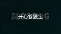 开心答题宝