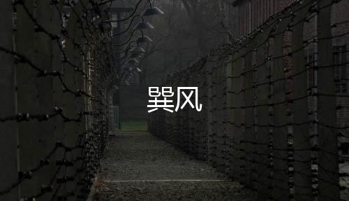 巽风下载