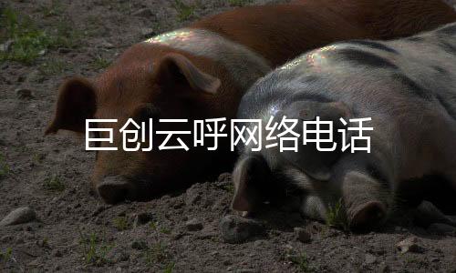 巨创云呼网络电话下载