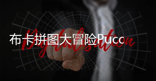 布卡拼图大冒险Pucca Puzzle Adventure下载
