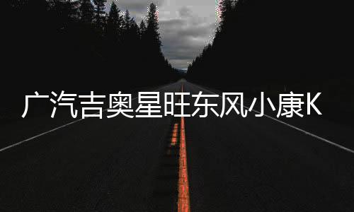 广汽吉奥星旺东风小康K17/K07S/C37面包车汽车电瓶45AH12V蓄电池下载