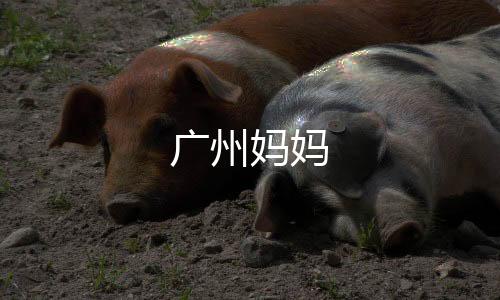 广州妈妈下载