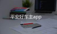 平安好车主app