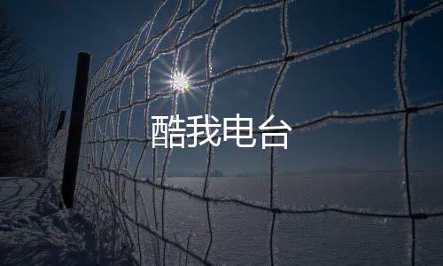 酷我电台下载