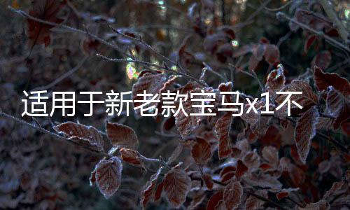 适用于新老款宝马x1不锈钢车窗饰条汽车改装配件亚光黑色窗边亮条下载