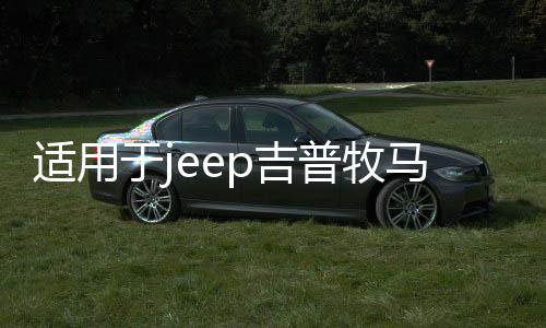 适用于jeep吉普牧马人汽车改装车门合页尾门备胎支架合叶装饰配件下载