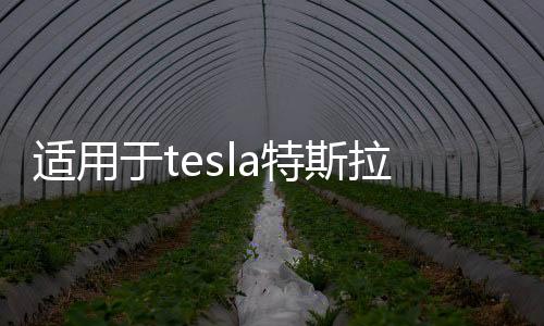适用于tesla特斯拉model3Y坐垫三件套带透气孔座垫座椅套改装配件下载