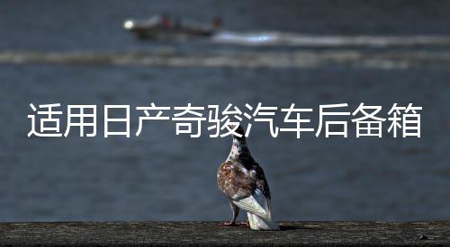 适用日产奇骏汽车后备箱改装专用隔板装饰隔物板收纳配件储物尾箱下载
