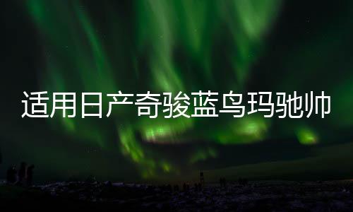 适用日产奇骏蓝鸟玛驰帅客颐达劲客汽车前门后门音响喇叭无损升级下载