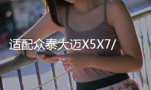 适配众泰大迈X5X7/T500T600Z700SR7原装60AH汽车电瓶瓦尔塔蓄电池下载
