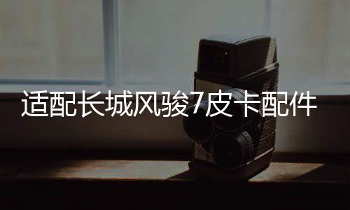 适配长城风骏7皮卡配件新款汽车后尾灯总成组合灯倒车灯刹车灯泡下载