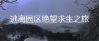 逃离园区绝望求生之旅