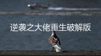 逆袭之大佬重生破解版