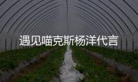 遇见喵克斯杨洋代言
