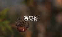 遇见你