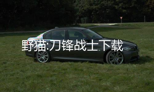 野猫:刀锋战士下载下载