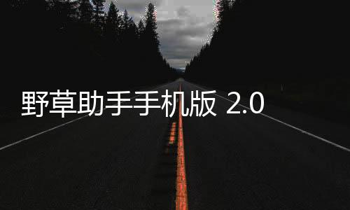 野草助手手机版 2.0.6下载