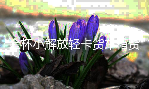 金杯小解放轻卡货车箱货领骐骐运汽车配件汽车坐垫套冰丝座垫货下载