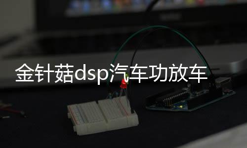 金针菇dsp汽车功放车载音频处理器无损改装4进6出大功率音响低音下载