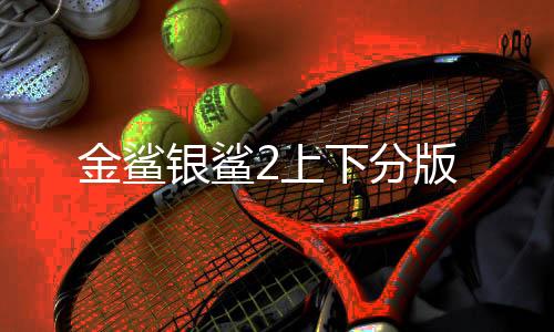 金鲨银鲨2上下分版下载