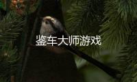 鉴车大师游戏