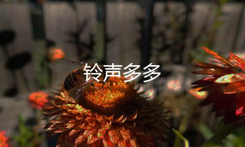 铃声多多下载