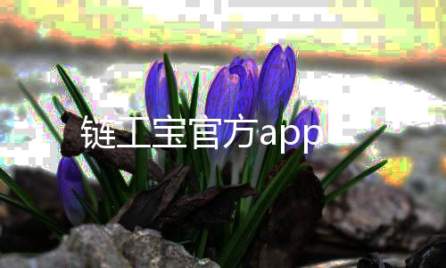 链工宝官方app下载