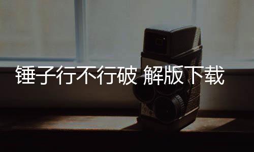 锤子行不行破 解版下载 1.0.0.4下载