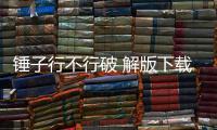 锤子行不行破 解版下载 1.0.0.4