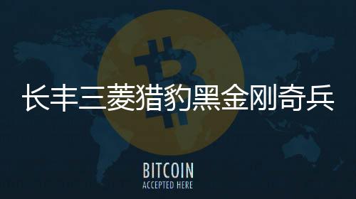 长丰三菱猎豹黑金刚奇兵飞腾6481内饰改装饰汽车配件仪表台避光垫下载
